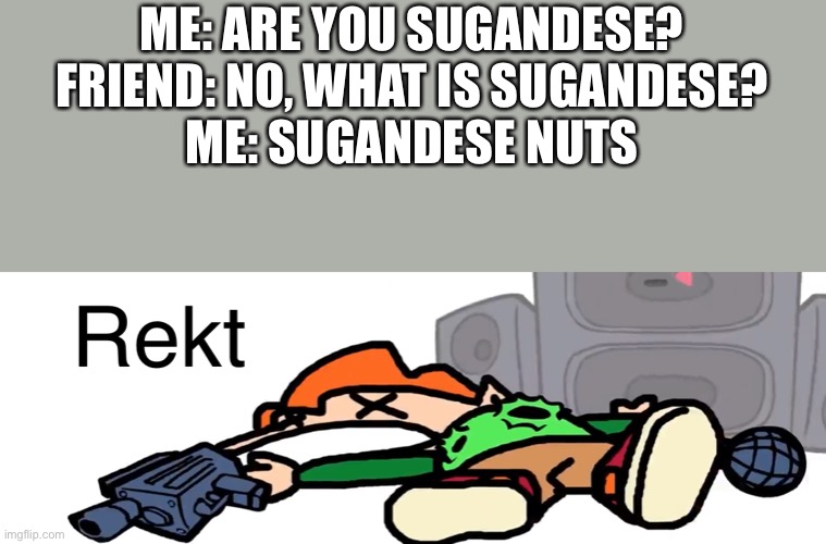 Pico Rekt | ME: ARE YOU SUGANDESE?
FRIEND: NO, WHAT IS SUGANDESE?
ME: SUGANDESE NUTS | image tagged in pico rekt | made w/ Imgflip meme maker