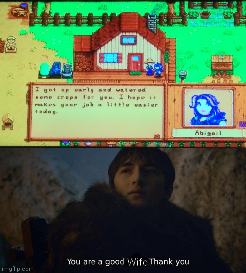 Wife | image tagged in you're a good man,StardewMemes | made w/ Imgflip meme maker