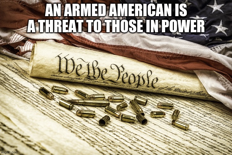 AN ARMED AMERICAN IS A THREAT TO THOSE IN POWER | image tagged in politics | made w/ Imgflip meme maker