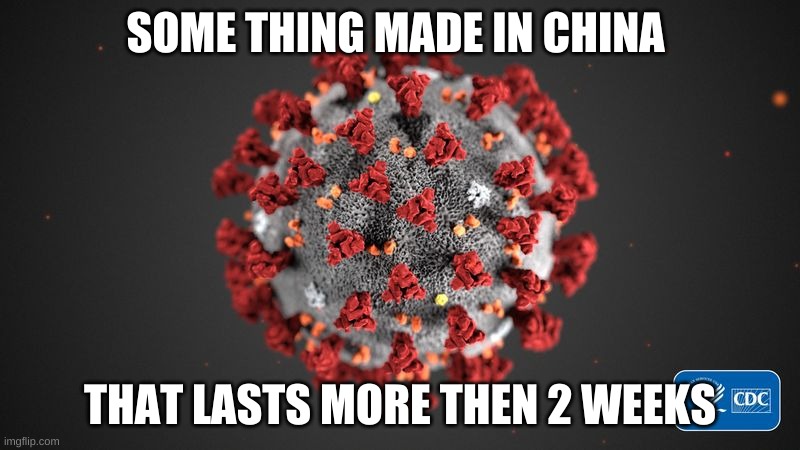 funny | SOME THING MADE IN CHINA; THAT LASTS MORE THEN 2 WEEKS | image tagged in covid 19,funny,covid-19 | made w/ Imgflip meme maker
