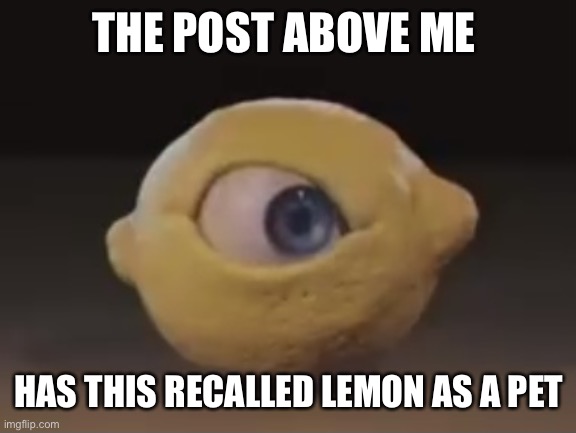 Omega Mart Lemon | THE POST ABOVE ME; HAS THIS RECALLED LEMON AS A PET | image tagged in omega mart lemon | made w/ Imgflip meme maker