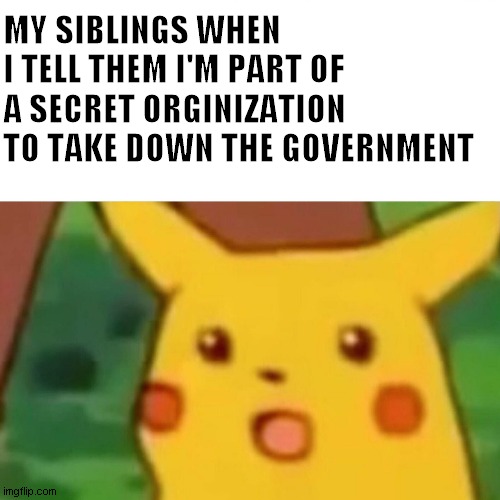 I actually did this once and they believed me and it was hilarious XD | MY SIBLINGS WHEN I TELL THEM I'M PART OF A SECRET ORGINIZATION TO TAKE DOWN THE GOVERNMENT | image tagged in memes,surprised pikachu | made w/ Imgflip meme maker