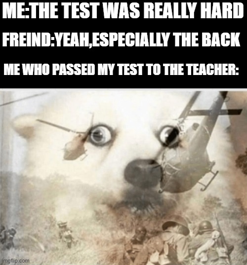 PTSD dog | ME:THE TEST WAS REALLY HARD; FREIND:YEAH,ESPECIALLY THE BACK; ME WHO PASSED MY TEST TO THE TEACHER: | image tagged in ptsd dog,relatable,2 pages,test | made w/ Imgflip meme maker