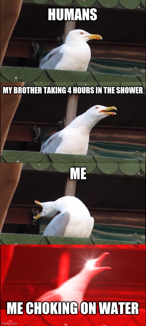 OMG TRUUUUUUEi have a problom, i cant drink water without choking O_O | HUMANS; MY BROTHER TAKING 4 HOURS IN THE SHOWER; ME; ME CHOKING ON WATER | image tagged in memes,inhaling seagull,water,dumb,weird stuff i do potoo | made w/ Imgflip meme maker