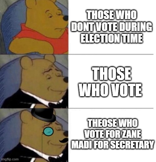 Tuxedo Winnie the Pooh (3 panel) | THOSE WHO DONT VOTE DURING ELECTION TIME; THOSE WHO VOTE; THEOSE WHO VOTE FOR ZANE MADI FOR SECRETARY | image tagged in tuxedo winnie the pooh 3 panel | made w/ Imgflip meme maker