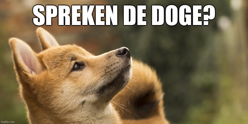 Spreken de DOGE? | SPREKEN DE DOGE? | image tagged in doge,dogecoin,memes,funny memes,moon,crypto | made w/ Imgflip meme maker