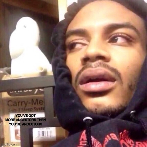 Woah.. | YOU’VE GOT MORE ANCESTORS THEN YOU’RE ANCESTORS | image tagged in coffee enema high thoughts | made w/ Imgflip meme maker