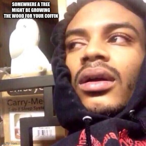 Shower thoughts #4 | SOMEWHERE A TREE MIGHT BE GROWING THE WOOD FOR YOUR COFFIN | image tagged in coffee enema high thoughts | made w/ Imgflip meme maker