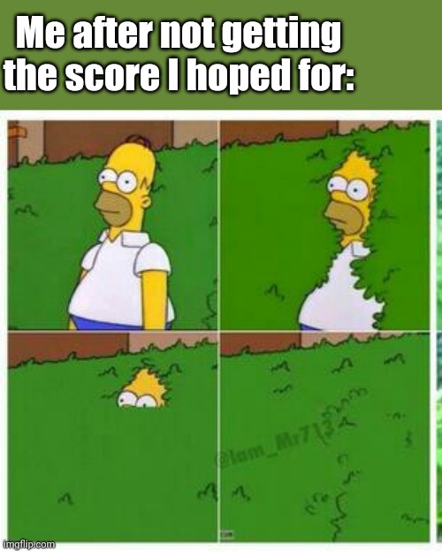 I Didn't Fail, But I Think I Did A Pathetic Job At It (I found that out because the score got send to me) | Me after not getting the score I hoped for: | image tagged in homer hides,i'm the only one that judges my grades btw,crying right now | made w/ Imgflip meme maker