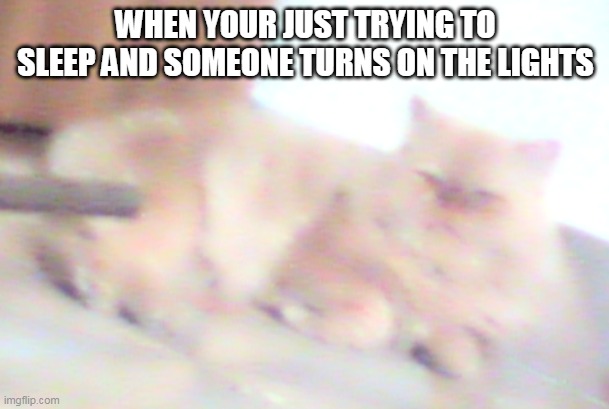 No Sleep | WHEN YOUR JUST TRYING TO SLEEP AND SOMEONE TURNS ON THE LIGHTS | image tagged in sleep | made w/ Imgflip meme maker