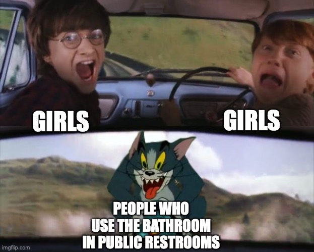 Tom chasing Harry and Ron Weasly | GIRLS; GIRLS; PEOPLE WHO USE THE BATHROOM IN PUBLIC RESTROOMS | image tagged in tom chasing harry and ron weasly | made w/ Imgflip meme maker