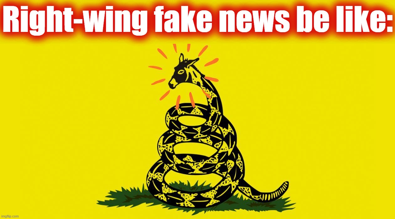 things that make you go hmmm | Right-wing fake news be like: | image tagged in democrat gadsden flag | made w/ Imgflip meme maker