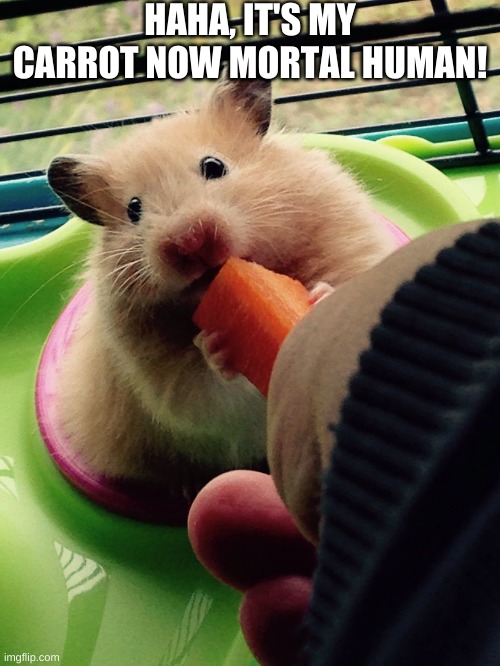 first actual hamster meme watya think? | HAHA, IT'S MY CARROT NOW MORTAL HUMAN! | image tagged in hamster | made w/ Imgflip meme maker