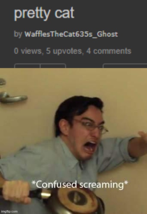 image tagged in filthy frank confused scream | made w/ Imgflip meme maker