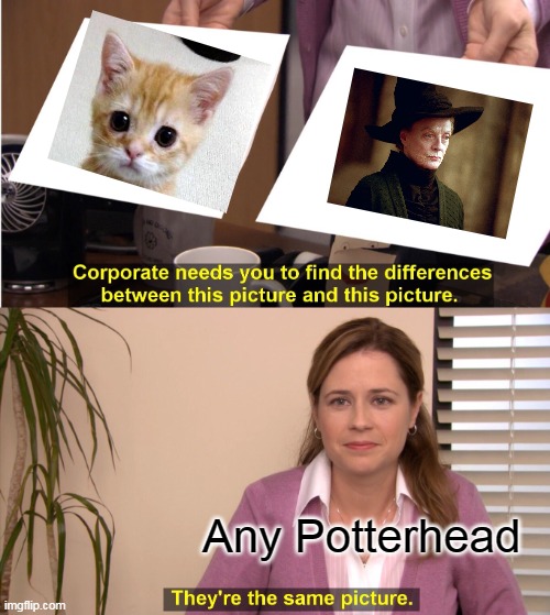 They're The Same Picture Meme | Any Potterhead | image tagged in memes,they're the same picture | made w/ Imgflip meme maker