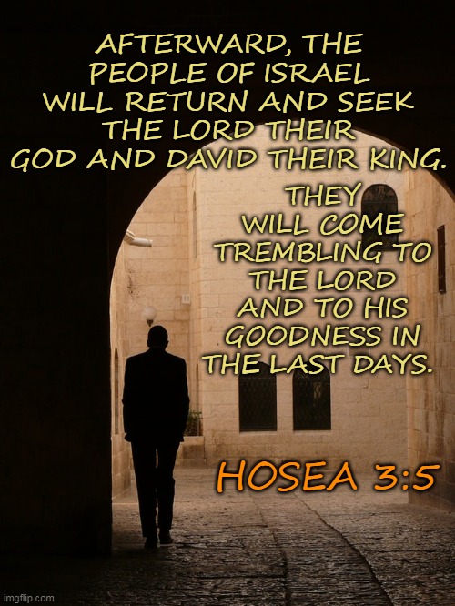 AFTERWARD, THE PEOPLE OF ISRAEL WILL RETURN AND SEEK THE LORD THEIR GOD AND DAVID THEIR KING. THEY WILL COME TREMBLING TO THE LORD AND TO HIS GOODNESS IN THE LAST DAYS. HOSEA 3:5 | made w/ Imgflip meme maker