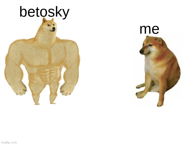 sad life doggo | betosky; me | image tagged in memes,buff doge vs cheems | made w/ Imgflip meme maker