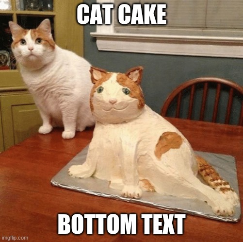 Cat cake | CAT CAKE; BOTTOM TEXT | image tagged in cat cake | made w/ Imgflip meme maker