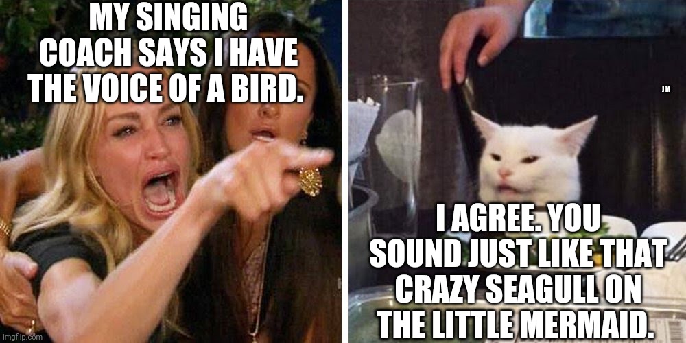 Smudge the cat | MY SINGING COACH SAYS I HAVE THE VOICE OF A BIRD. J M; I AGREE. YOU SOUND JUST LIKE THAT CRAZY SEAGULL ON THE LITTLE MERMAID. | image tagged in smudge the cat | made w/ Imgflip meme maker