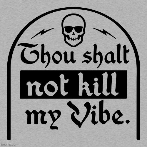 Thou shalt not kill my vibe | image tagged in thou shalt not kill my vibe | made w/ Imgflip meme maker