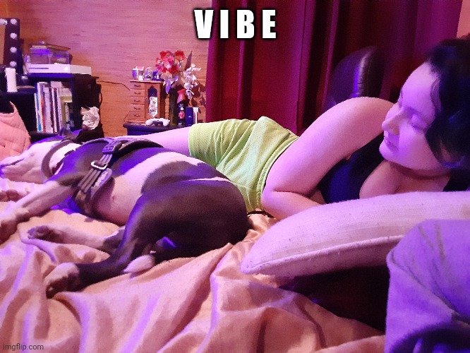 V I B E | made w/ Imgflip meme maker