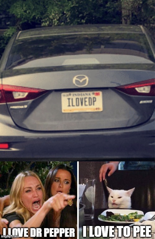 I LOVE DR PEPPER; I LOVE TO PEE | image tagged in smudge the cat,memes,license plate | made w/ Imgflip meme maker