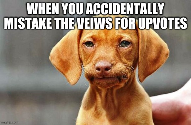 ooooof | WHEN YOU ACCIDENTALLY MISTAKE THE VEIWS FOR UPVOTES | image tagged in frowning dog | made w/ Imgflip meme maker