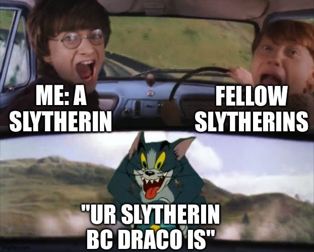 Like no I ✨dislike✨ that ferret | FELLOW SLYTHERINS; ME: A SLYTHERIN; "UR SLYTHERIN BC DRACO IS" | image tagged in tom chasing harry and ron weasly,slytherin,i hate draco malfoy | made w/ Imgflip meme maker