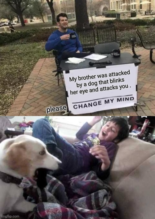My brother was attacked by a dog that blinks her eye and attacks you . please | image tagged in memes,change my mind,dog,attack | made w/ Imgflip meme maker