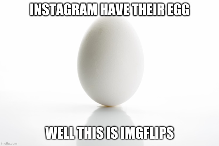 praise de egg | INSTAGRAM HAVE THEIR EGG; WELL THIS IS IMGFLIPS | image tagged in egg | made w/ Imgflip meme maker