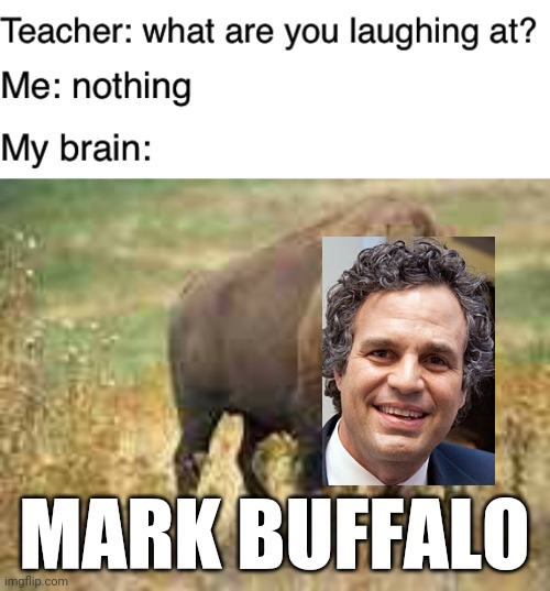Lol | MARK BUFFALO | image tagged in teacher what are you laughing at,funny,puns,mark ruffalo,hulk,buffalo | made w/ Imgflip meme maker