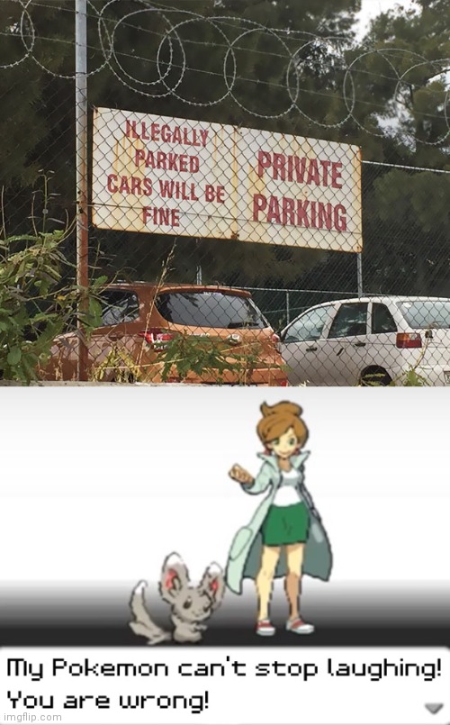 LET'S PARK ANY WHERE | image tagged in my pokemon can't stop laughing you are wrong | made w/ Imgflip meme maker