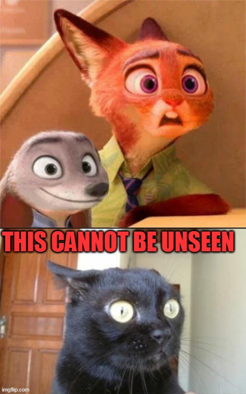 unseeeeee | THIS CANNOT BE UNSEEN | image tagged in cannot be unseen cat,unsee juice | made w/ Imgflip meme maker