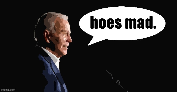 word on the street is that hoes are mad about this new stream in comments | image tagged in joe biden hoes mad textbox,hoes,mad,new stream,latest stream,joe biden | made w/ Imgflip meme maker