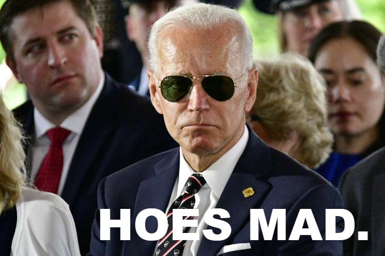 High Quality Joe Biden hoes mad Blank Meme Template