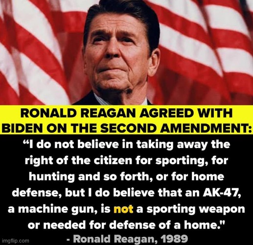 things that make you go hmmm | image tagged in ronald reagan second amendment | made w/ Imgflip meme maker