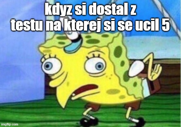 nvm LOL | kdyz si dostal z testu na kterej si se ucil 5 | image tagged in memes,mocking spongebob | made w/ Imgflip meme maker