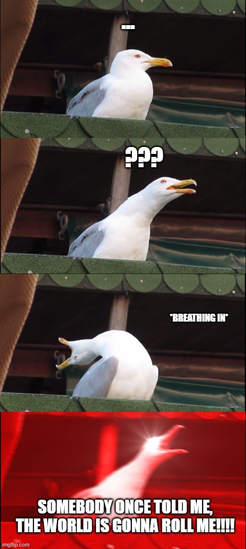 Inhaling Seagull | ... ??? *BREATHING IN*; SOMEBODY ONCE TOLD ME, THE WORLD IS GONNA ROLL ME!!!! | image tagged in memes,inhaling seagull | made w/ Imgflip meme maker