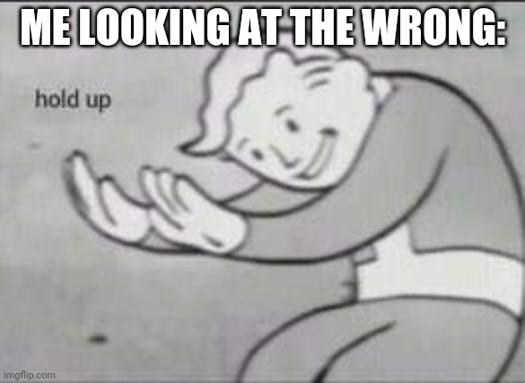 Fallout Hold Up | ME LOOKING AT THE WRONG: | image tagged in fallout hold up | made w/ Imgflip meme maker