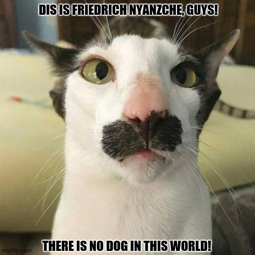 funny cat | DIS IS FRIEDRICH NYANZCHE, GUYS! THERE IS NO DOG IN THIS WORLD! | image tagged in memes,sad cat holding dog,atheism | made w/ Imgflip meme maker