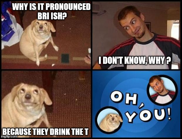 Funny dog | WHY IS IT PRONOUNCED
 BRI ISH? I DON'T KNOW, WHY ? BECAUSE THEY DRINK THE T | image tagged in oh you | made w/ Imgflip meme maker