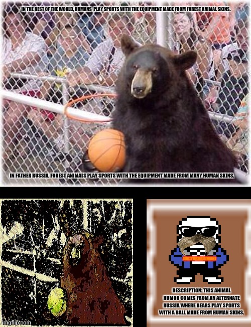 Bad Sports Bear |  IN THE REST OF THE WORLD, HUMANS  PLAY SPORTS WITH THE EQUIPMENT MADE FROM FOREST ANIMAL SKINS. IN FATHER RUSSIA, FOREST ANIMALS PLAY SPORTS WITH THE EQUIPMENT MADE FROM MANY HUMAN SKINS. DOCTORBALDMAN! DESCRIPTION: THIS ANIMAL HUMOR COMES FROM AN ALTERNATE RUSSIA WHERE BEARS PLAY SPORTS WITH A BALL MADE FROM HUMAN SKINS. | image tagged in memes,extreme sports,smokey bear | made w/ Imgflip meme maker