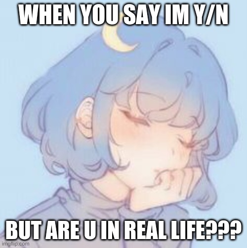 WHEN YOU SAY IM Y/N; BUT ARE U IN REAL LIFE??? | image tagged in memes | made w/ Imgflip meme maker