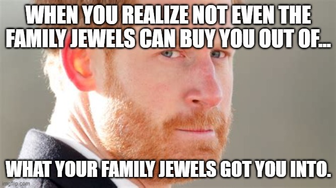 All the money in the world... | WHEN YOU REALIZE NOT EVEN THE FAMILY JEWELS CAN BUY YOU OUT OF... WHAT YOUR FAMILY JEWELS GOT YOU INTO. | image tagged in harry and mehgan | made w/ Imgflip meme maker
