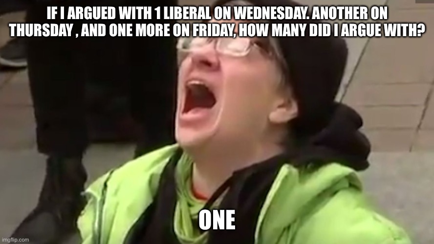Screaming Liberal  | IF I ARGUED WITH 1 LIBERAL ON WEDNESDAY. ANOTHER ON THURSDAY , AND ONE MORE ON FRIDAY, HOW MANY DID I ARGUE WITH? ONE | image tagged in screaming liberal | made w/ Imgflip meme maker