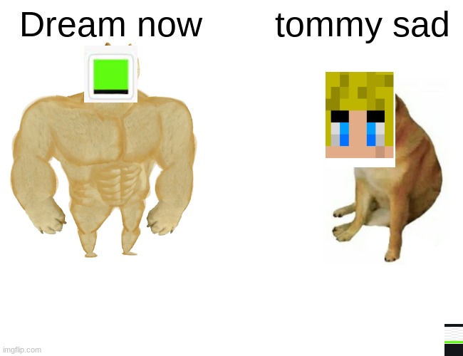 dream is cool | Dream now; tommy sad | image tagged in memes,buff doge vs cheems | made w/ Imgflip meme maker