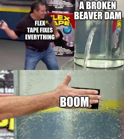 Flex Tape | A BROKEN BEAVER DAM; FLEX TAPE FIXES EVERYTHING; BOOM | image tagged in flex tape | made w/ Imgflip meme maker