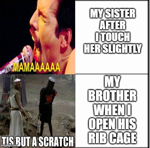 having a brother is better than a sister | MY SISTER AFTER I TOUCH HER SLIGHTLY; MY BROTHER WHEN I OPEN HIS RIB CAGE | image tagged in table chart,siblings,memes,relatable | made w/ Imgflip meme maker