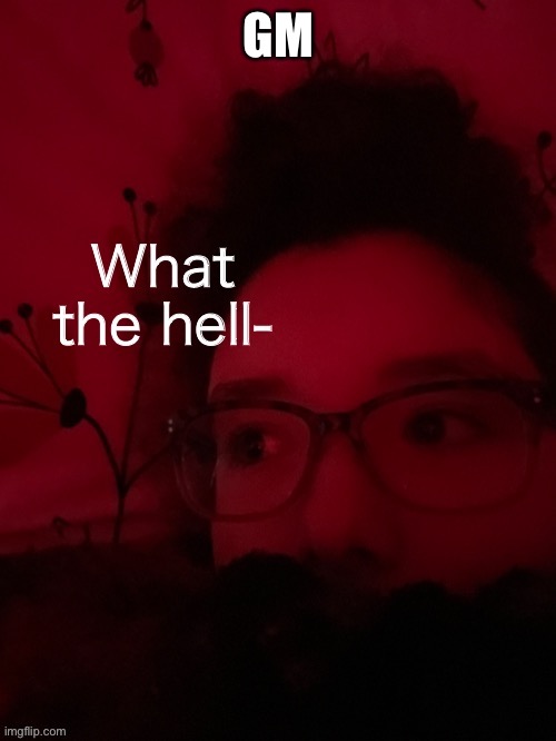 What the hell | GM | image tagged in what the hell | made w/ Imgflip meme maker