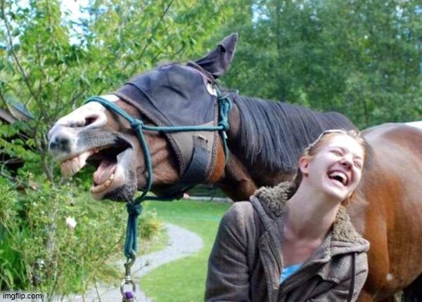 Laughing Horse | image tagged in laughing horse | made w/ Imgflip meme maker